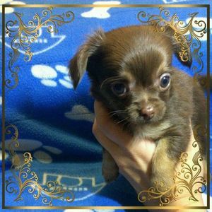 Meet your Posher, Marisol